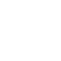 Structured Learning Path